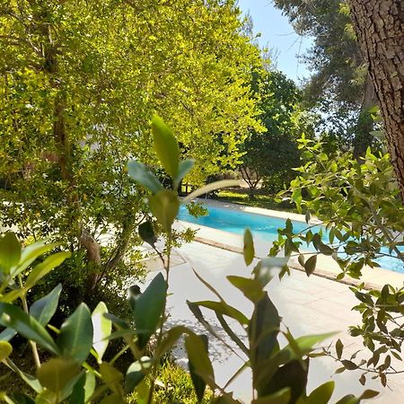 La Dimora Dei Gelsi Villa Castri di Lecce Buitenkant foto