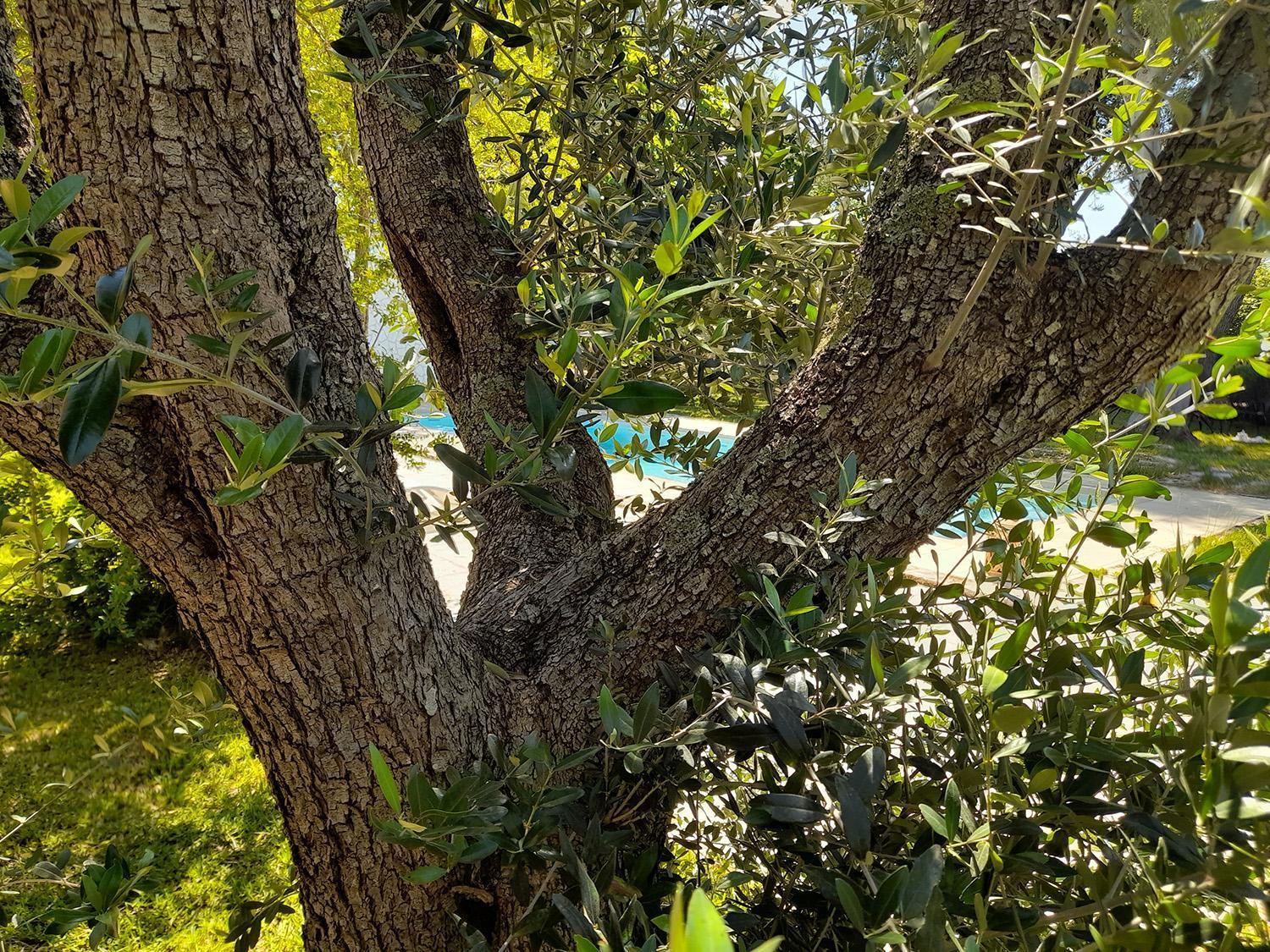 La Dimora Dei Gelsi Villa Castri di Lecce Buitenkant foto
